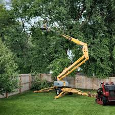 Best Weed Control  in Alorton, IL